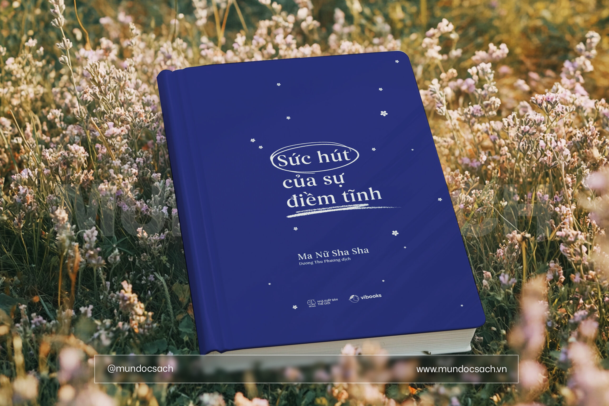 Bìa sách Sức Hút Của Sự Điềm Tĩnh của Ma Nữ Sha Sha