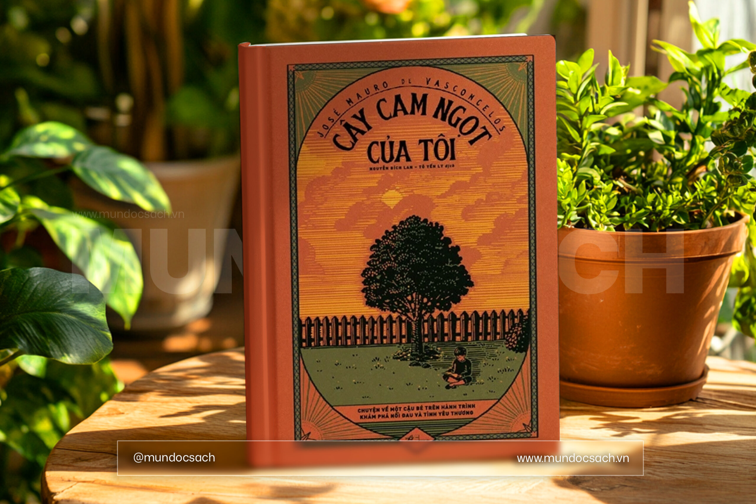 07 CcnctBìa sách Cây cam ngọt của tôi của José Mauro de Vasconcelos - tác phẩm văn học Brazil kinh điển về tuổi thơ