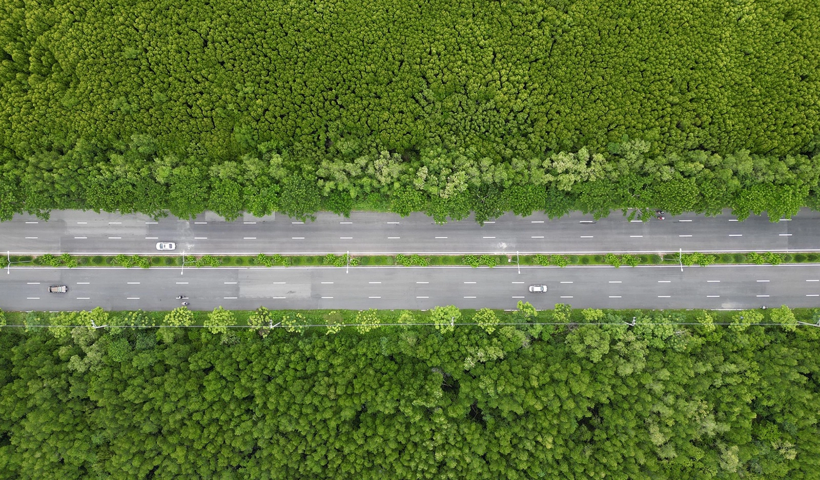 Cung đường Cần Giờ – nơi đánh thức lòng biết ơn từ những điều nhỏ bé - 3 Quy Tắc Cốt Lõi Để Có Một Cuộc Sống Hạnh Phúc